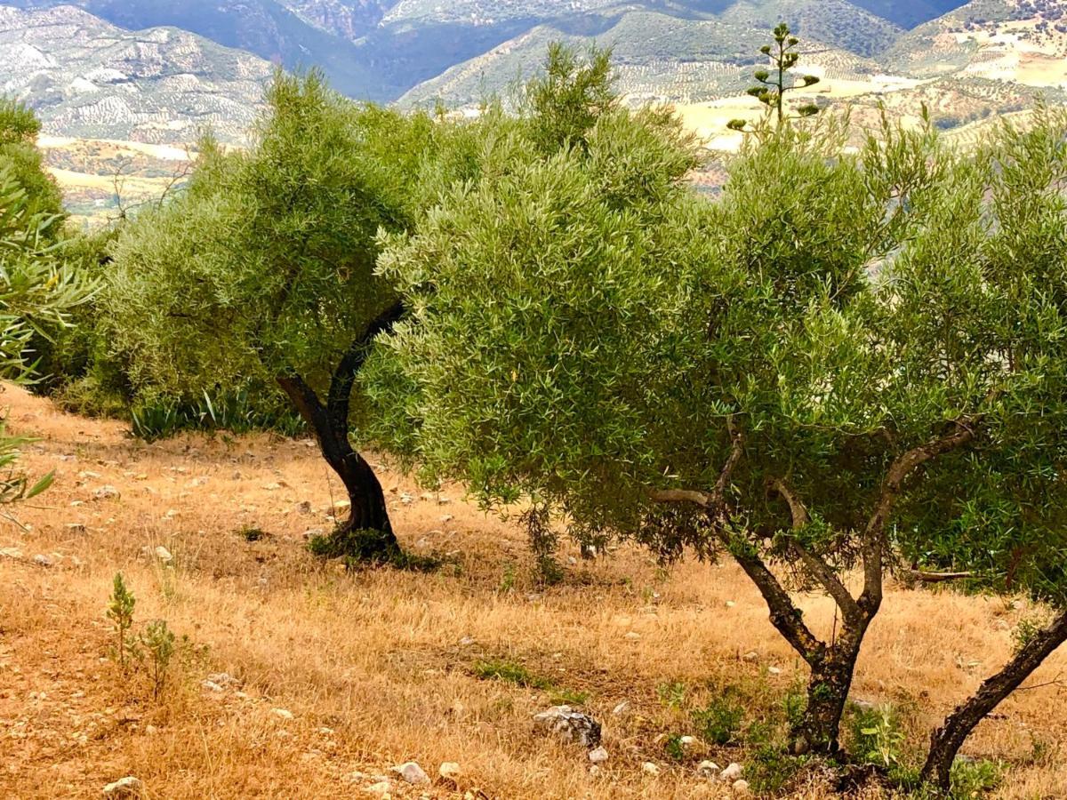 הוילה אלגודונאלס El Oasis מראה חיצוני תמונה