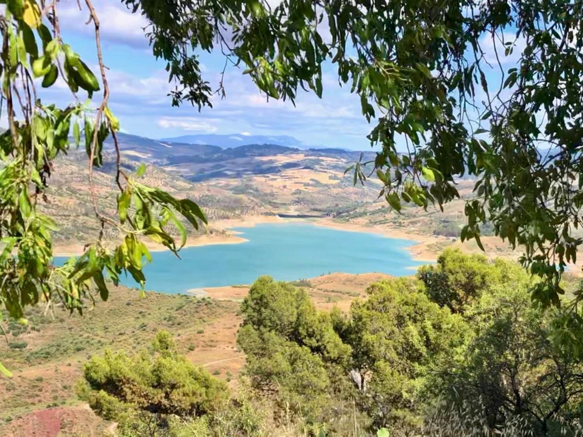 הוילה אלגודונאלס El Oasis מראה חיצוני תמונה