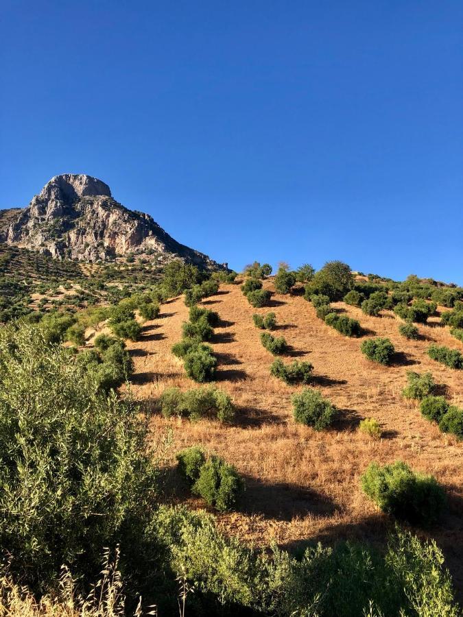 הוילה אלגודונאלס El Oasis מראה חיצוני תמונה